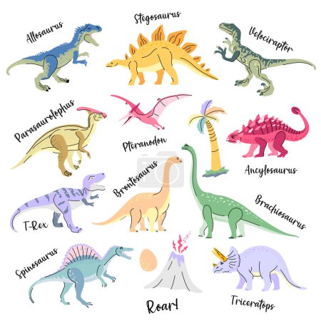 Reihe von Dinosauriern einschließlich T-Rex, Brontosaurus, Triceratops, Velociraptor, Pteranodon, Allosaurus usw. isoliert auf weiß