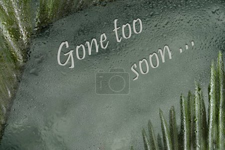 Photo for Text message Gone too soon on green background with palm leaves and water drops. Copy space. - Royalty Free Image