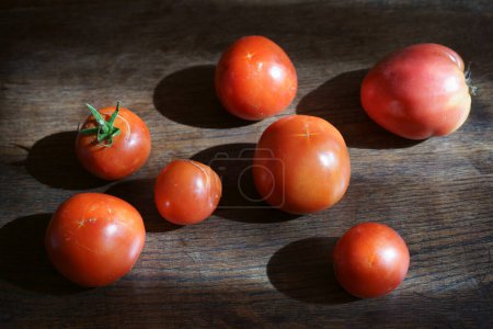 Sieben selbst angebaute Bio-Tomaten auf einem dunkelbraunen Holztisch. Grasende Sonne. Nahaufnahme.