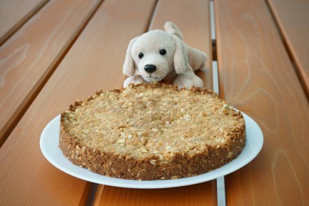 Photo for A soft toy dog behind a home-baked unsweetened cake. Oatmeal, coconut flakes, butter and flour are the ingredients. - Royalty Free Image