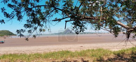Téléchargez les photos : Plage de Piuma arbre tropical avec la plage et le mont agha en arrière-plan, Espirito Santo, Brésil. - en image libre de droit