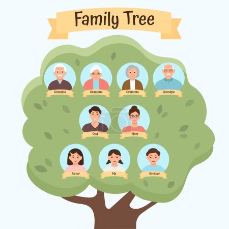Ilustración de Árbol genealógico de tres generaciones. Abuelos, padres, hijos.Ilustración vectorial - Imagen libre de derechos