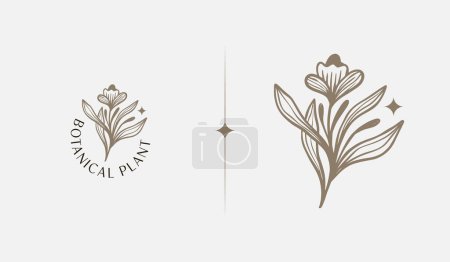 Ilustración de Abstract Plant Botanical Flower Line Art Line Drawing. Universal creative premium symbol. Vector illustration. Creative Minimal design template - Imagen libre de derechos