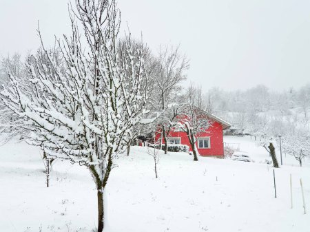 Photo for Red house and frozen trees under white snow - village Milanovac at winter, Croatia - Royalty Free Image