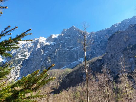 Logartal. Kamnik Alpen unter blauem Himmel. Slowenien