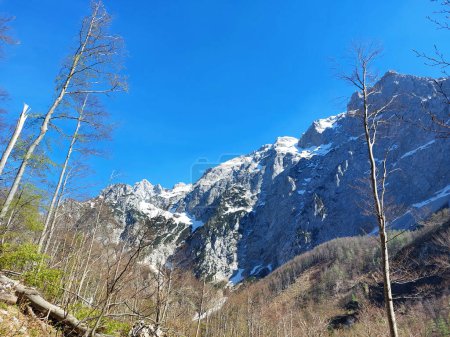 Logar valley. Snow on Kamnik Alps. Blue sky. Slovenia
