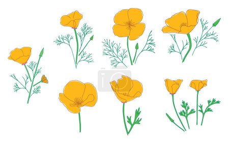 Silhouetten von Eschscholzia-Blumen. Kalifornischer Mohn - Vektor-Set aus Goldmohn