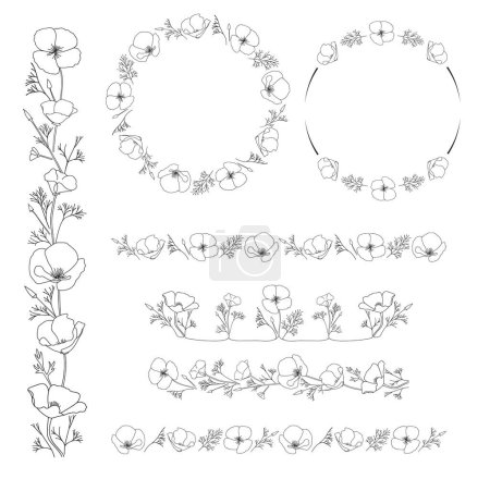 elementos de diseño vectorial con flores Eschscholzia. California amapola - marcos y delimitadores