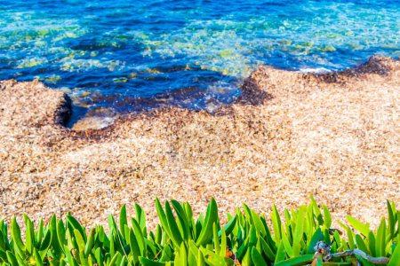 Téléchargez les photos : Belle plage et baie de Kavouri avec eau bleue turquoise et nature à Voula Vouliagmeni Attica Grèce. - en image libre de droit