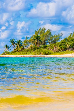 Téléchargez les photos : Panorama tropical mexicain des paysages de plage des Caraïbes avec une eau turquoise claire à Playa del Carmen Mexique. - en image libre de droit