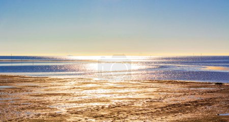 Foto de Hermosa costa de marismas y marismas paisajes marinos en Dorum Wurster Costa del Mar del Norte Wursten Cuxhaven Baja Sajonia Alemania. - Imagen libre de derechos