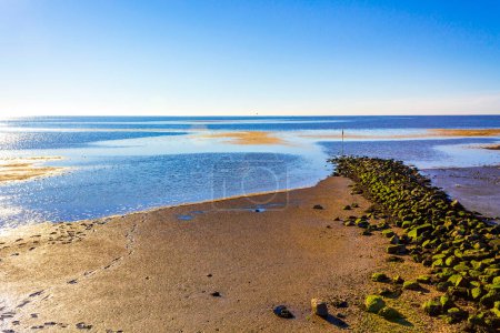Foto de Hermosa costa de marismas y marismas paisajes marinos en Dorum Wurster Costa del Mar del Norte Wursten Cuxhaven Baja Sajonia Alemania. - Imagen libre de derechos