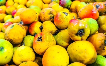 Foto de Patrón de textura de muchas frutas tejocotas pequeñas en Zicatela Puerto Escondido Oaxaca México. - Imagen libre de derechos