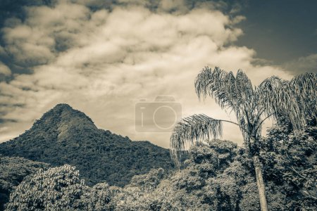 Photo for Old black and white picture of Abraao mountain Pico do Papagaio with clouds on Ilha Grande Angra dos Reis Rio de Janeiro Brazil. - Royalty Free Image