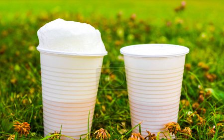 Photo for White plastic cups with beer and foam crown on grass in Speckenbuetteler Park Lehe Bremerhaven Bremen Germany. - Royalty Free Image