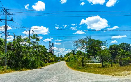 Photo for Tropical jungle and forest with road through the village Kantunilkin Lazaro Cardenas in Quintana Roo Mexico. - Royalty Free Image