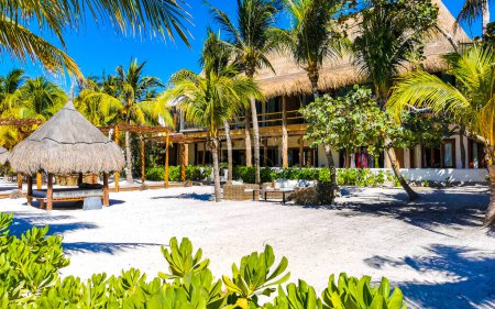 Foto de Resorts y vista del paisaje con naturaleza tropical en la hermosa isla Holbox en Quintana Roo México. - Imagen libre de derechos
