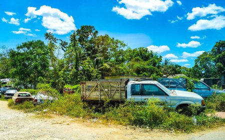 Photo for Scrap cars wrecks rotting in the bushes in Kantunilkin Lazaro Cardenas in Quintana Roo Mexico. - Royalty Free Image