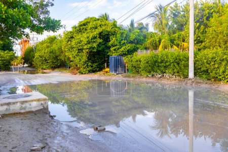 Photo for Muddy roads with puddles and mud on Isla Holbox island in Quintana Roo Mexico. - Royalty Free Image