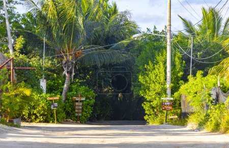 Foto de Camino fangoso y arenoso sendero y vista al paisaje con naturaleza tropical en la hermosa isla Holbox en Quintana Roo México. - Imagen libre de derechos