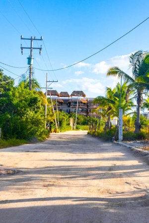 Foto de Camino fangoso y arenoso sendero y vista al paisaje con naturaleza tropical en la hermosa isla Holbox en Quintana Roo México. - Imagen libre de derechos