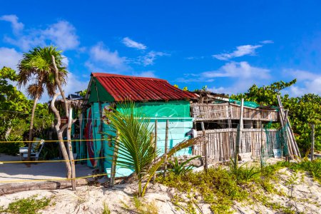 Téléchargez les photos : Plage tropicale naturelle mexicaine panorama playa 88 avec palmier et hutte à Playa del Carmen Mexique. - en image libre de droit
