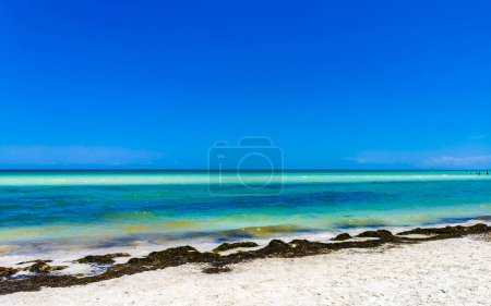 Foto de Holbox Mexico 16. May 2022 Panorama landscape view on beautiful Holbox island sandbank and beach with waves turquoise water and blue sky in Quintana Roo Mexico. - Imagen libre de derechos