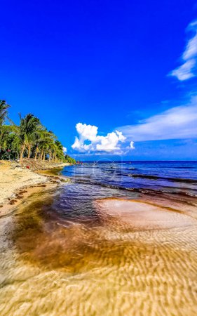 Téléchargez les photos : Panorama tropical du paysage de plage mexicain avec une eau turquoise claire à Playa del Carmen Mexique. - en image libre de droit