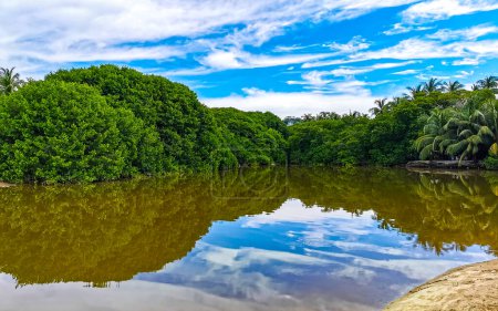 Foto de Green beautiful tropical river Freshwater Lagoon in Zicatela Puerto Escondido Oaxaca Mexico. - Imagen libre de derechos