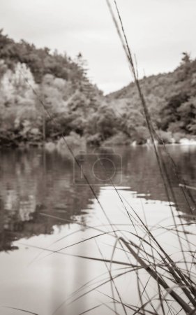 Photo for Plitvice Lakes National Park grass in front of turquoise blue and green water in Croatia. - Royalty Free Image