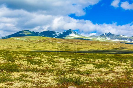 Beautiful mountain and landscape panorama with untouched nature hills and rocks stones in Rondane National Park Ringbu Innlandet Norway in Scandinavia.