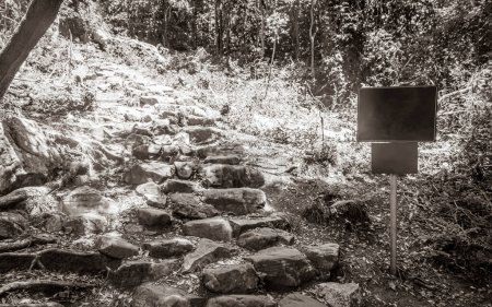 Photo for Stony Newlands Ravine hiking trail in the Tablemoutain National Park, Cape Town, South Africa. Empty sign green. - Royalty Free Image