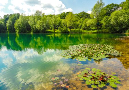 Photo for Beautiful lake water river in green turquoise and blue color in wooded nature forest in Wiefelstede Ammerland Lower Saxony Germany. - Royalty Free Image