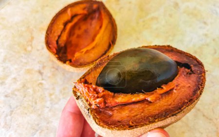 Photo for Sliced delicious Big Sapote Mamey fruit in Playa del Carmen Quintana Roo Mexico. - Royalty Free Image