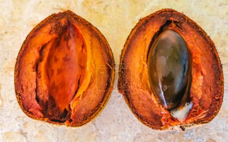 Photo for Sliced delicious Big Sapote Mamey fruit in Playa del Carmen Quintana Roo Mexico. - Royalty Free Image
