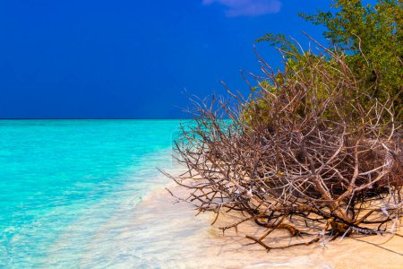Foto de Islas naturales del banco de arena tropical con gradiente de color en el agua Madivaru y Finolhu en el atolón Rasdhoo Maldivas. - Imagen libre de derechos