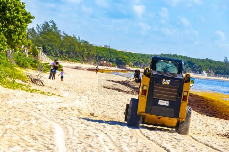 Photo for Playa del Carmen Quintana Roo Mexico 05. August 2021 Excavator digging in the sand and sea for sea weed at the beautiful Caribbean beach totally filthy and dirty the nasty seaweed sargazo problem. - Royalty Free Image