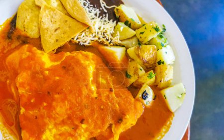 Foto de Tortilla mexicana y huevos revueltos con papas frijoles negros y nachos en plato blanco en El Cafecito en Zicatela Puerto Escondido Oaxaca México. - Imagen libre de derechos