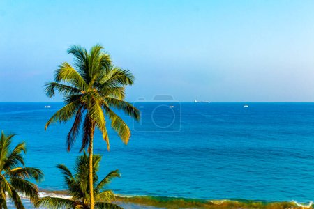 Photo for Beautiful tropical palm tree palms trees and turquoise blue sea in Mirissa Beach Southern Province Sri Lanka. - Royalty Free Image
