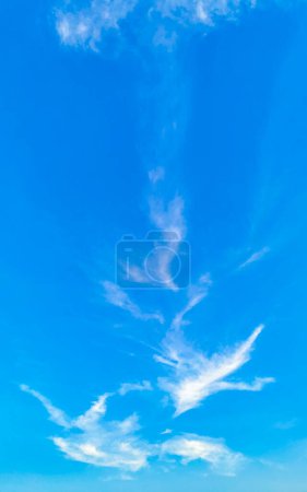Photo for Blue sky with chemical cumulus clouds chemical sky scalar waves and chemtrails on sunny day in Playa del Carmen Mexico. - Royalty Free Image