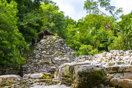 Foto de Coba Maya Ruina los antiguos edificios y pirámides en la selva tropical en el municipio de Coba Tulum Quintana Roo México. - Imagen libre de derechos