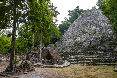Foto de Coba Maya Ruina los antiguos edificios y pirámides en la selva tropical en el municipio de Coba Tulum Quintana Roo México. - Imagen libre de derechos
