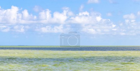 Foto de Panorama del océano marino en el Golfo de México con coloridas aguas turquesas verdes en Chiquila Lazaro Cárdenas en Quintana Roo México. - Imagen libre de derechos