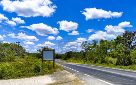 Foto de Camino que conduce a través de la selva tropical en Chiquila Lazaro Cárdenas en Quintana Roo México. - Imagen libre de derechos