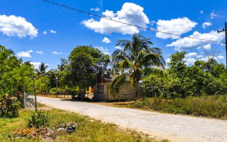 Foto de Camino que conduce a través de la selva tropical en Chiquila Lazaro Cárdenas en Quintana Roo México. - Imagen libre de derechos