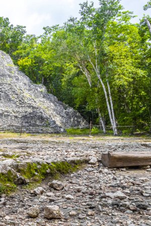 Foto de Coba Maya Ruina el antiguo edificio y pirámide Nohoch Mul en la selva tropical en el municipio de Coba Tulum Quintana Roo México. - Imagen libre de derechos