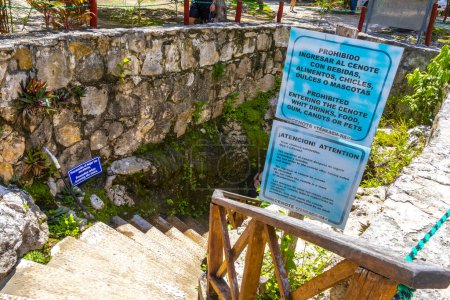 Foto de Tulum Quintana Roo México 01. Octubre 2023 Entrada al sumidero de Cenote Tankach Ha Tankach-Ha con rocas calizas y agua azul turquesa en el municipio de Coba Tulum Quintana Roo México. - Imagen libre de derechos