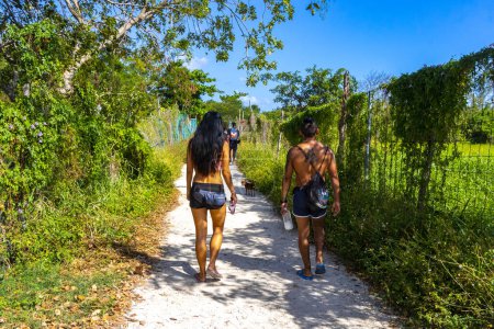 Photo for Playa del Carmen Quintana Roo Mexico 04. April 2021 Tropical natural way walking  path to the beach in the nature jungle between plants and palm trees in Playa del Carmen Mexico. - Royalty Free Image
