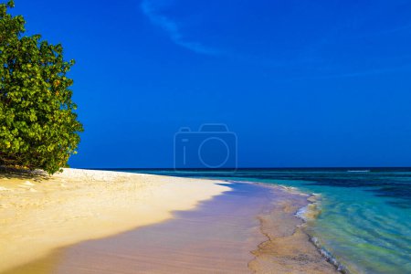 Foto de Plantas tropicales naturales y palmeras manglar en islas del banco de arena con gradiente de color en el agua Madivaru Finolhu e isla Rasdhoo en el atolón Rasdhoo Maldivas. - Imagen libre de derechos