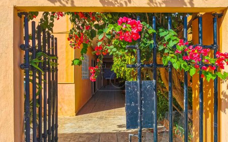 Beautiful black lattice gate entrance with pink tropical flowers in Playa del Carmen Quintana Roo Mexico.